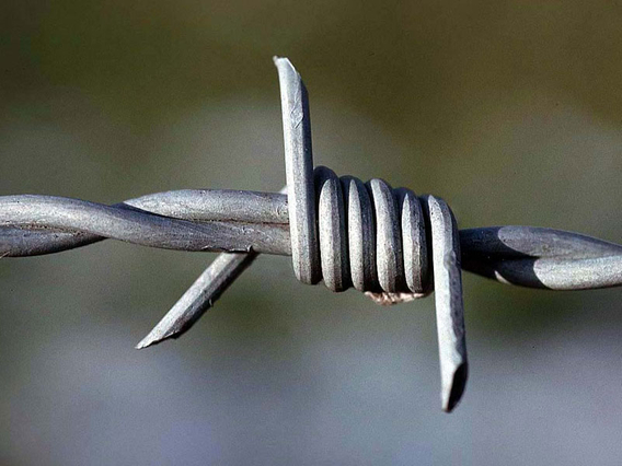 Barbed Wire