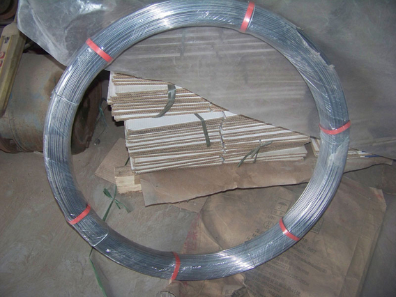 Galvanized Oval Wire