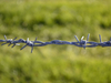 Barbed Wire