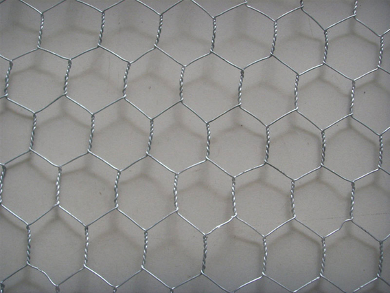 Hexagonal Wire Mesh